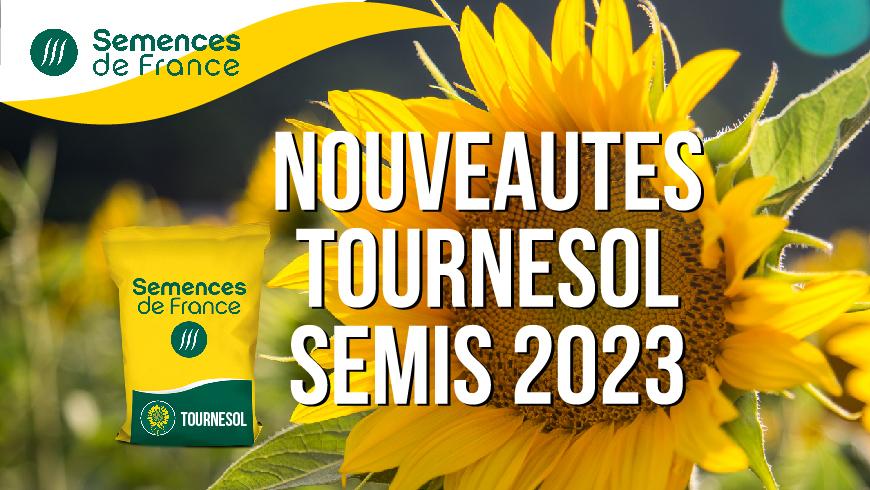Nouveautés Tournesol