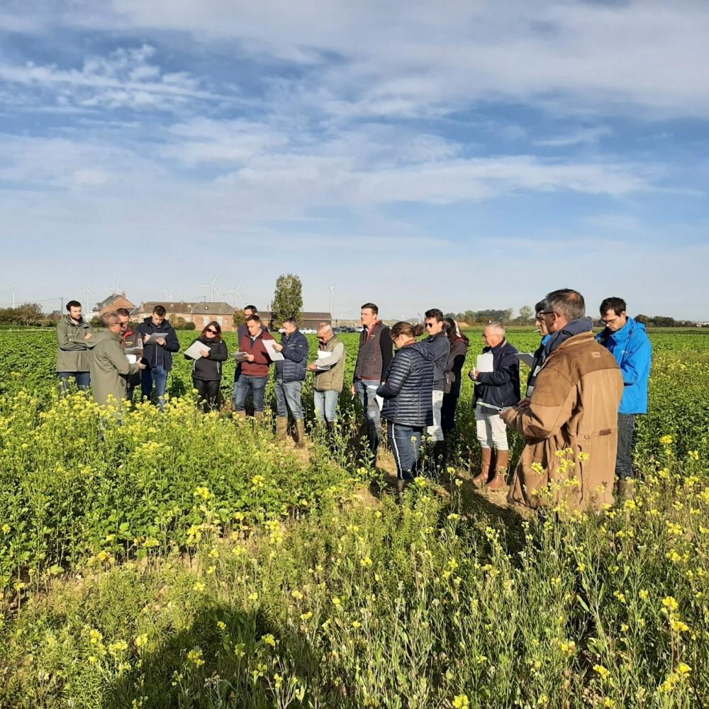 Plateforme expérimentale Intercultures d'Hombleux