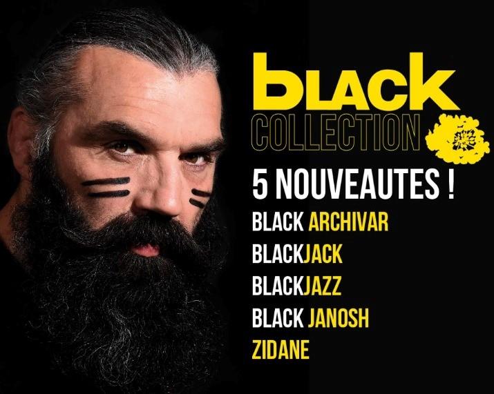 Le renouveau génétique en colza