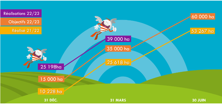 be Api : garder le cap !