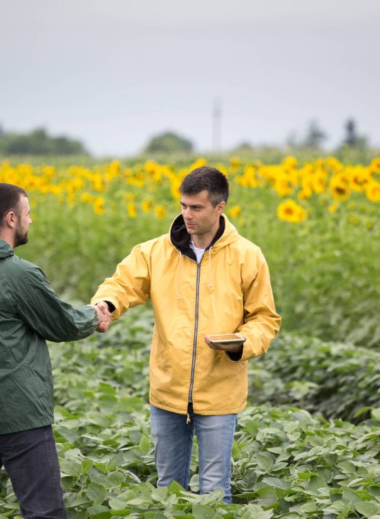 8931070f00e09a5d1166d91e9831270418be59bd-2