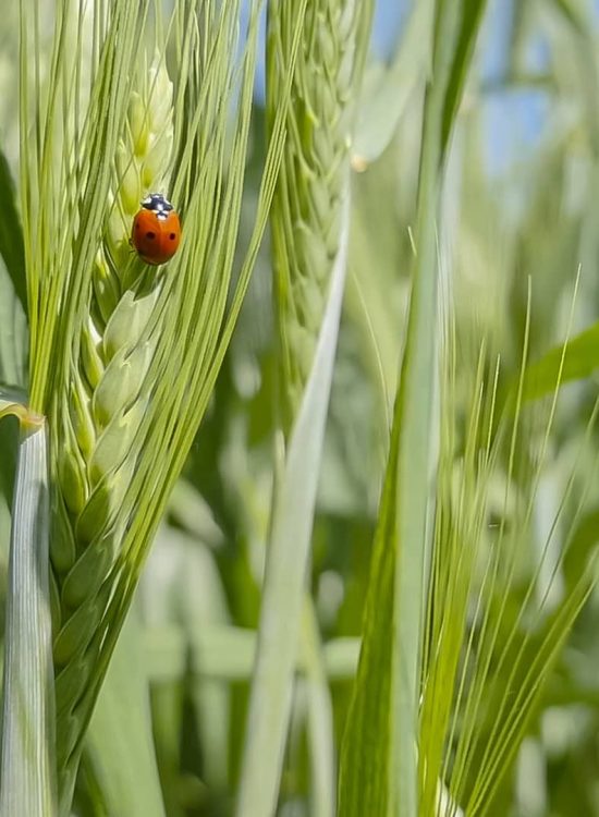 ca58492383ed29636d2c5c6266891632eceb4697-2